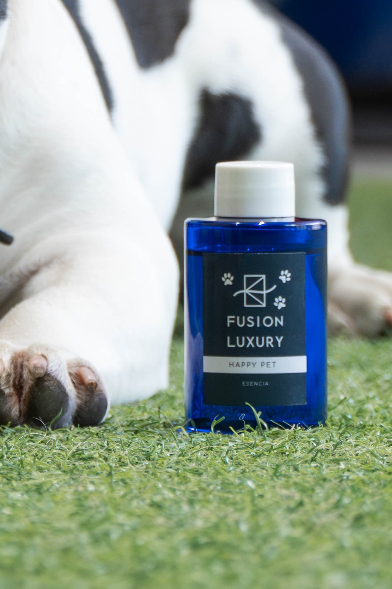 Pack Wonder 180 Azul + 1 Aroma Pet friendly