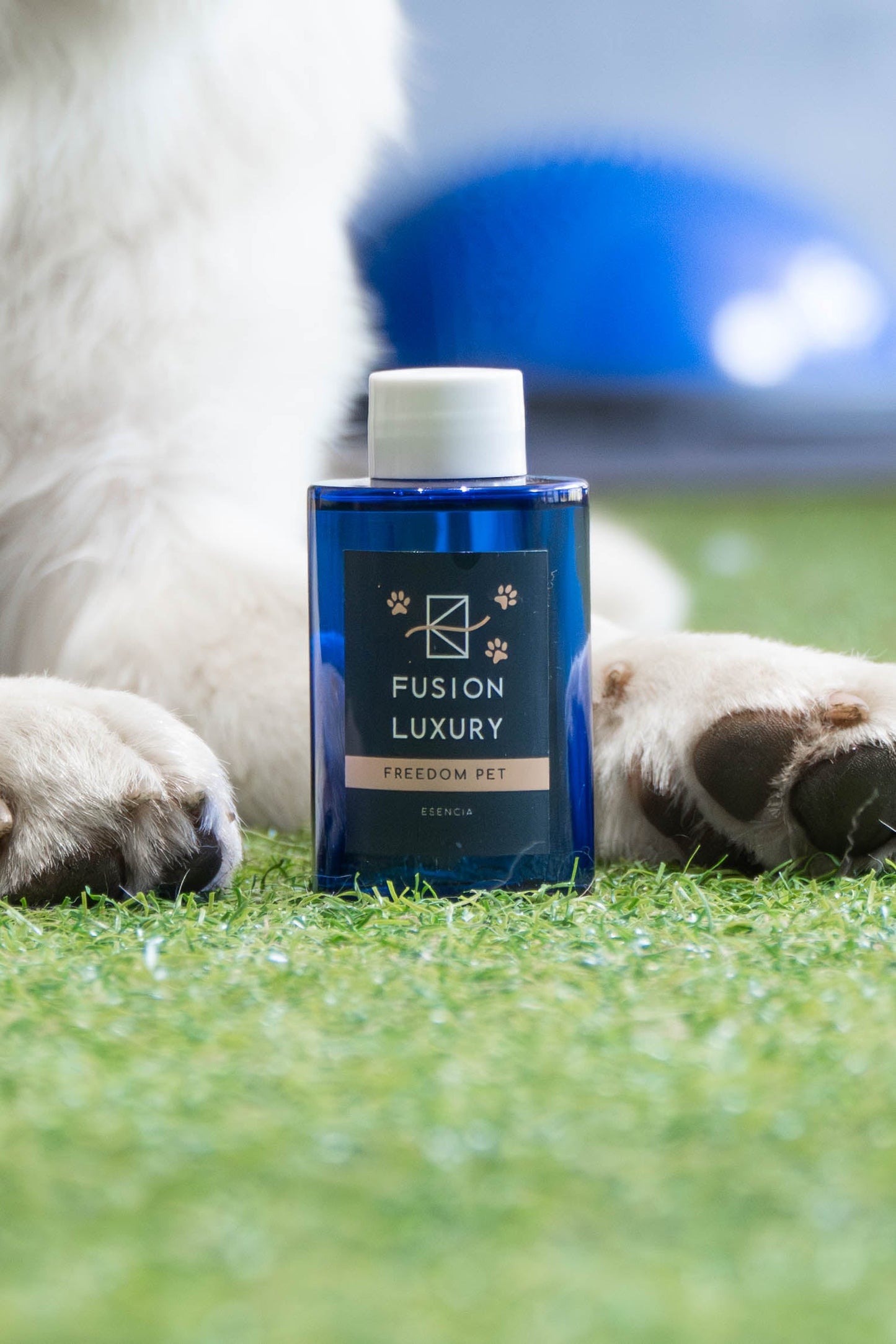 Pack Wonder 360 Blanco + 1 Aroma Pet friendly