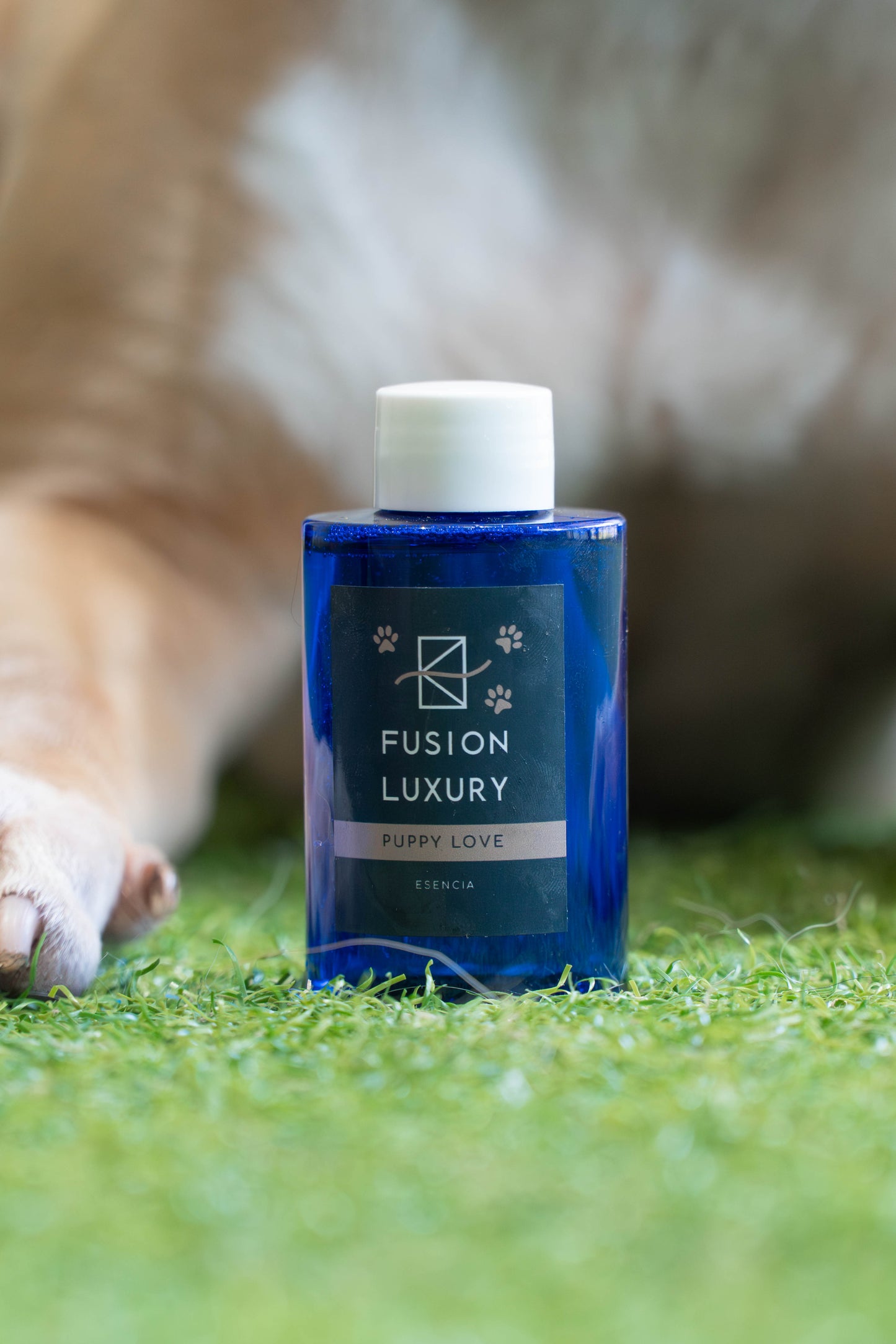 Pack Wonder 180 Azul + 1 Aroma Pet friendly